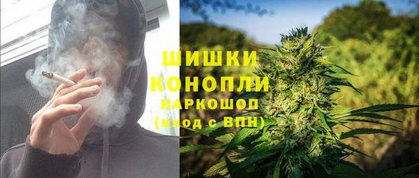 ГАЛЛЮЦИНОГЕННЫЕ ГРИБЫ Балахна