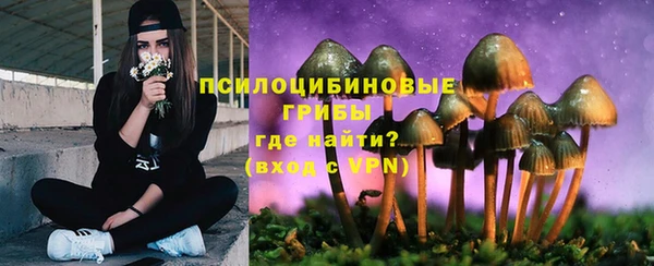 ГАЛЛЮЦИНОГЕННЫЕ ГРИБЫ Балахна